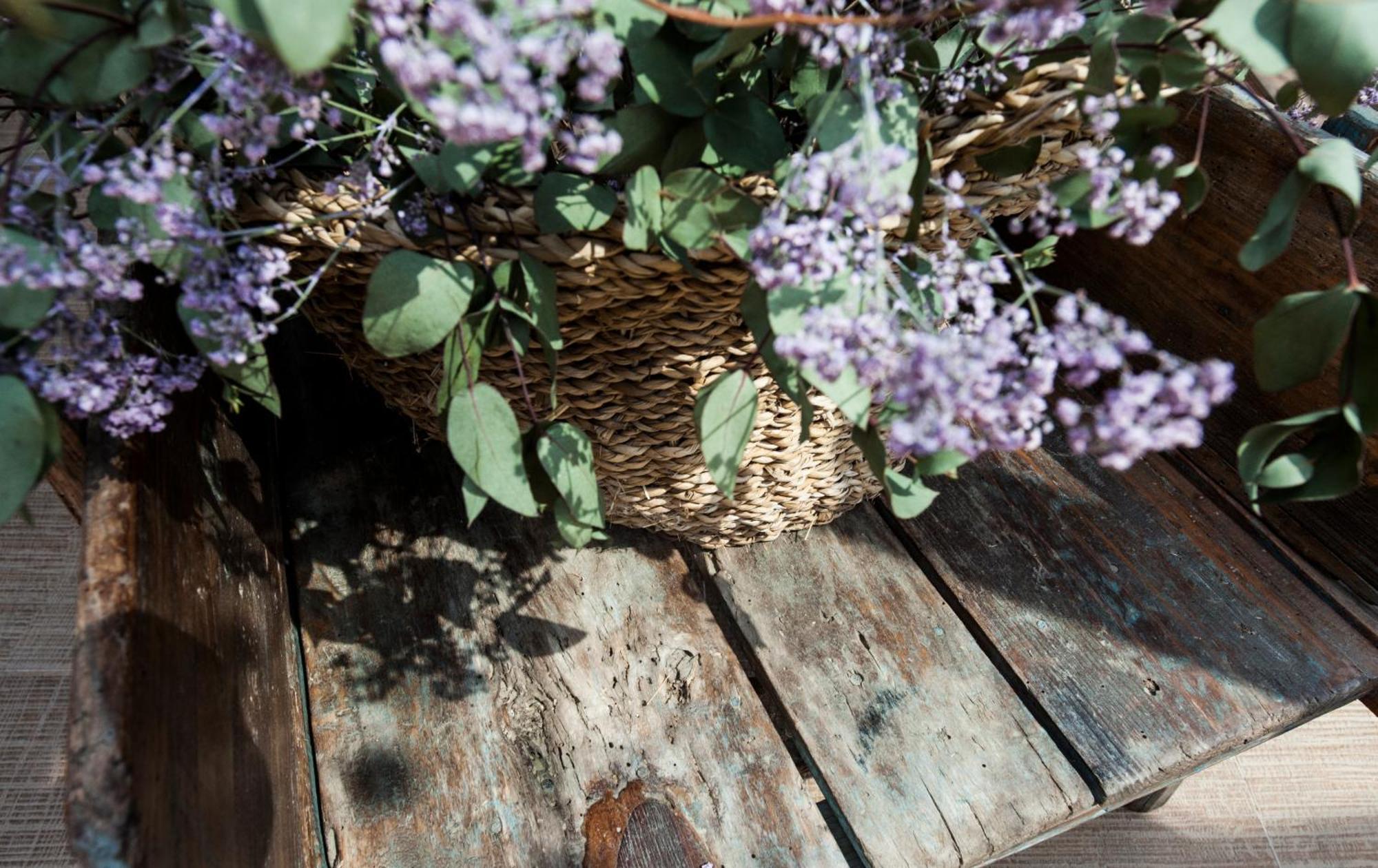 Suites Natura Mas Tapiolas Santa Cristina d'Aro Eksteriør bilde